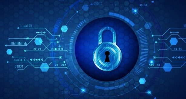 cyber securitys consultant